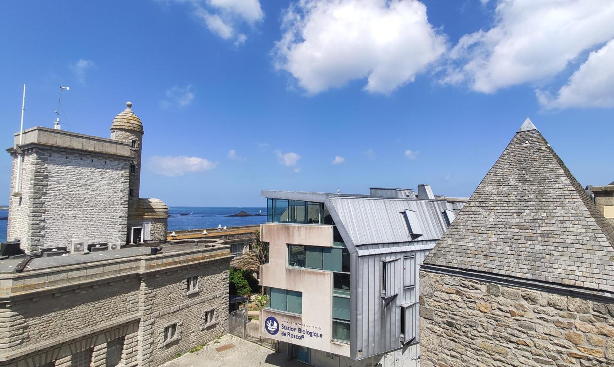 Roscoff 2 Pieces Classe 2 Etoiles Et Terrasse Centre Historique Ngoại thất bức ảnh